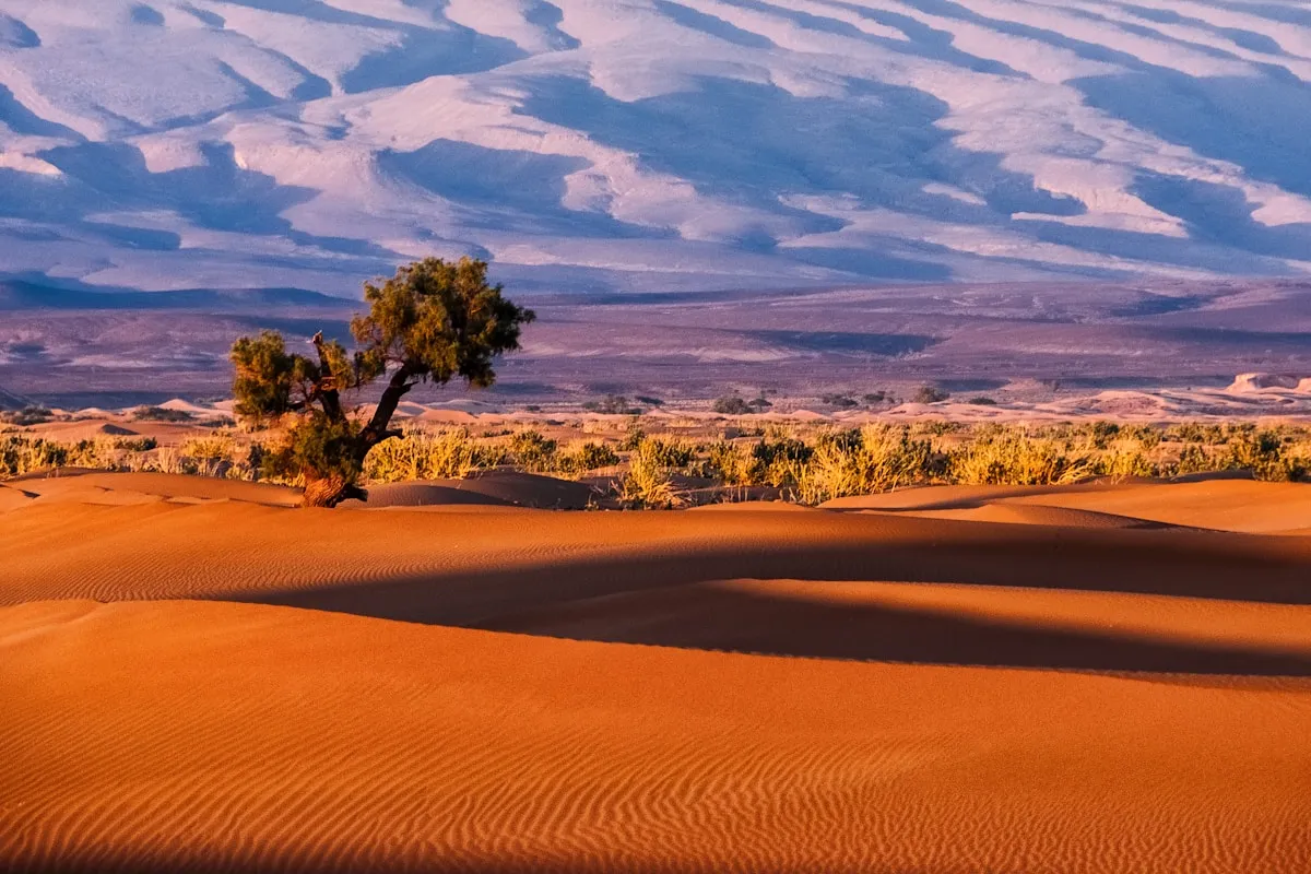 Agafay ou Merzouga : quel désert marocain choisir ?