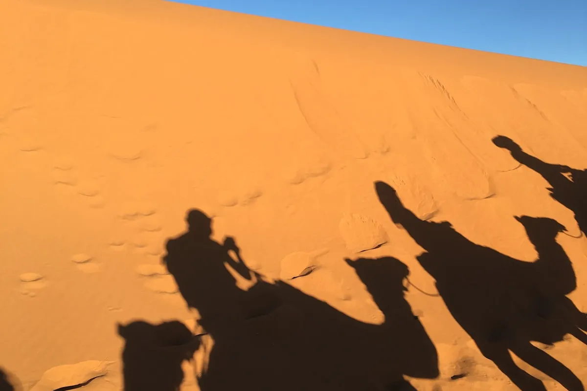 Balade à Dos de Chameau à Marrakech : Guide Complet