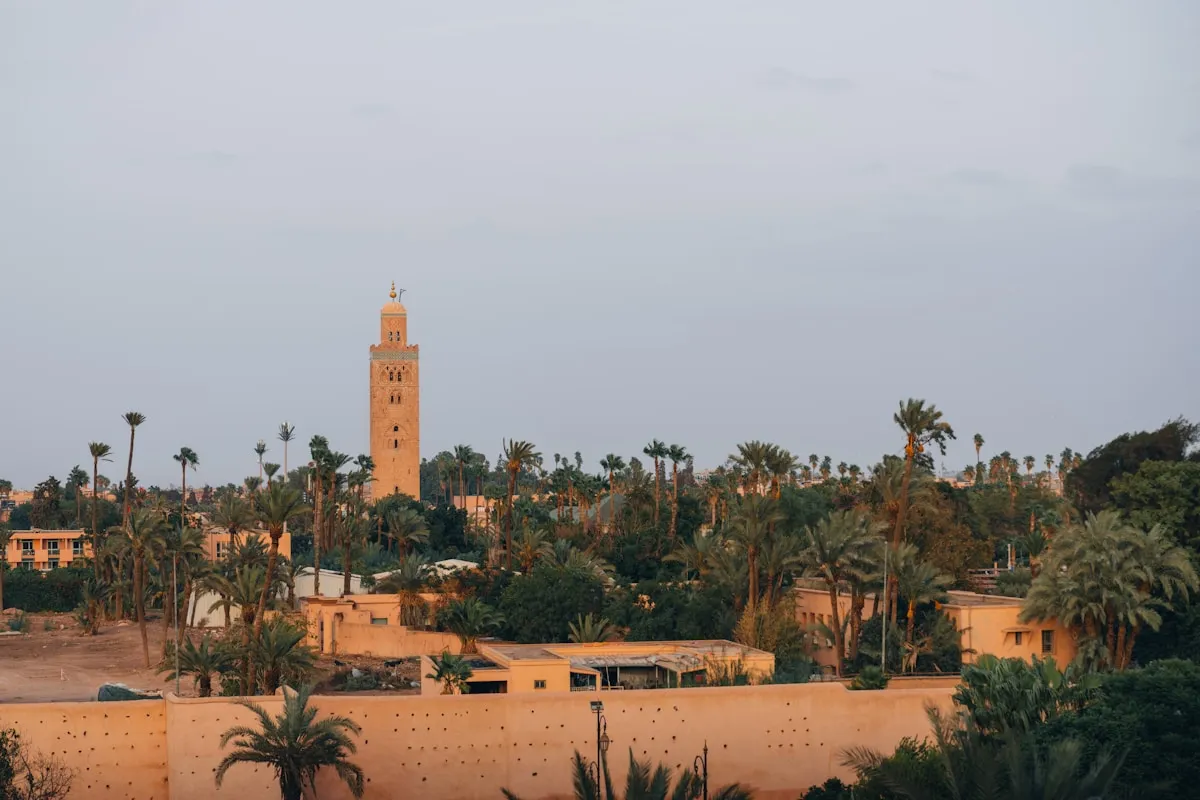 Découvrir la Palmeraie de Marrakech