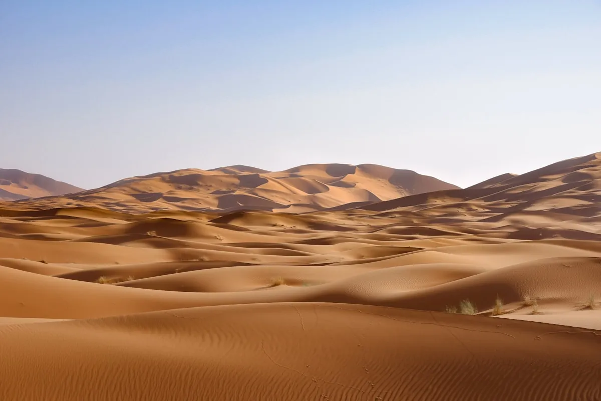 Que faire à Marrakech en été : activités et bons plans