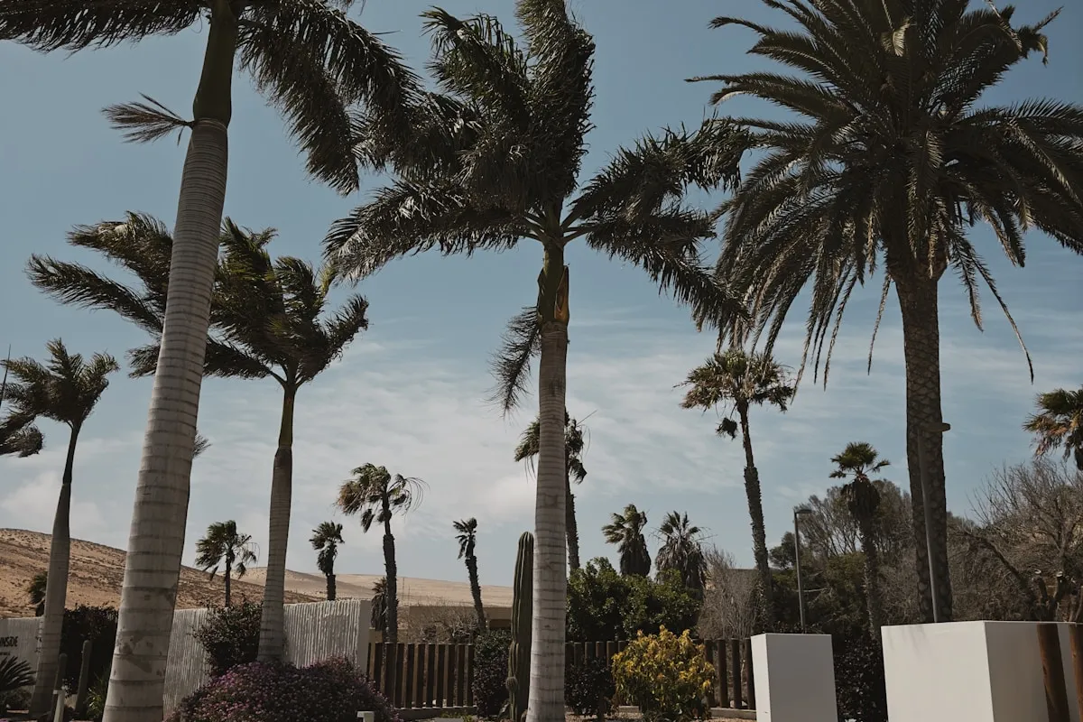 Visiter Marrakech pendant le Ramadan : ce qu'il faut savoir
