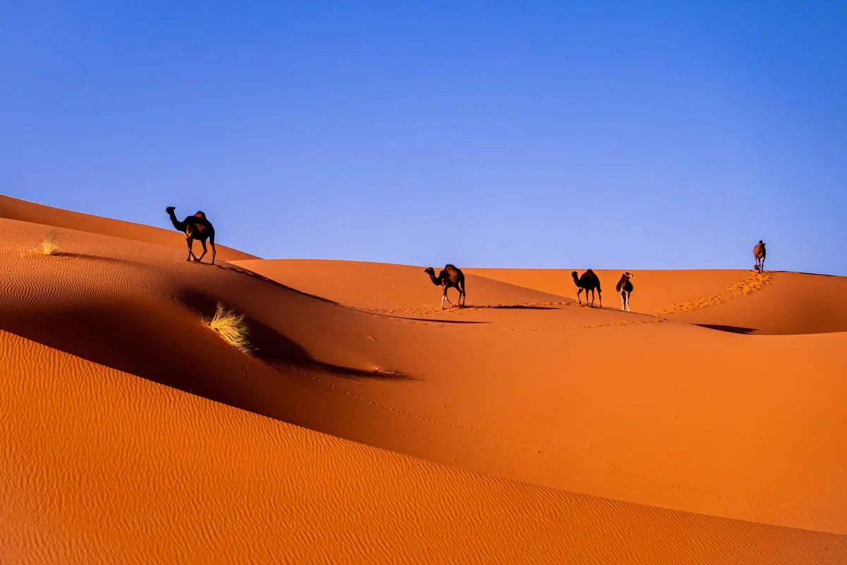 Villages berbères à découvrir en quad autour de Marrakech
