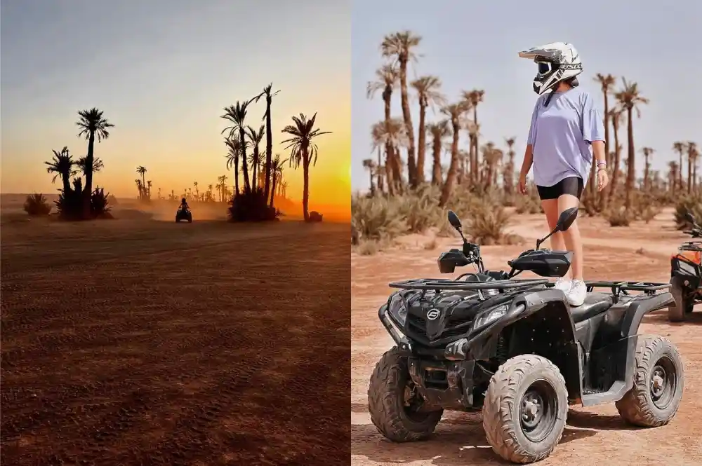 QuadBuggy Adventures