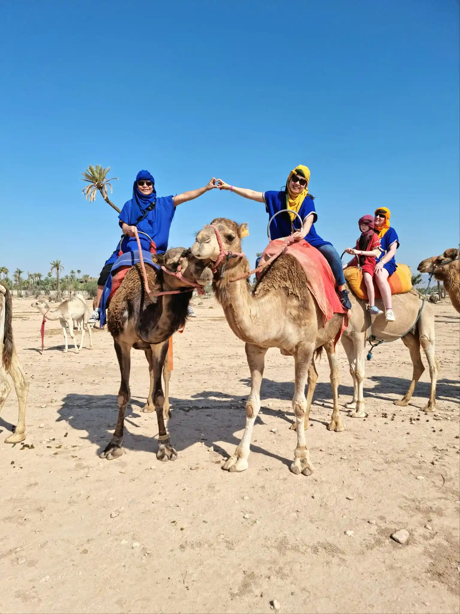 Buggy & Chameau dans la Palmeraie de Marrakech