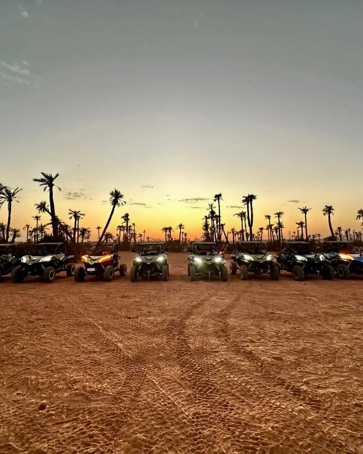 Buggy dans la Palmeraie de Marrakech