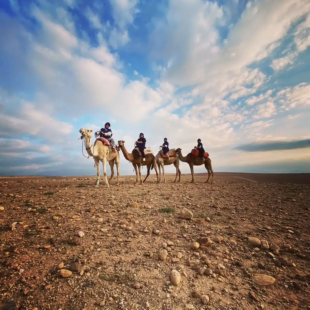 Quad + Chameau + Dîner au Le Bedouine