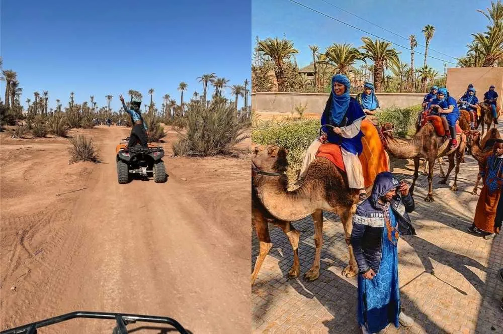 Quad et Balade à Chameau dans la Palmeraie - 1/2 Journée