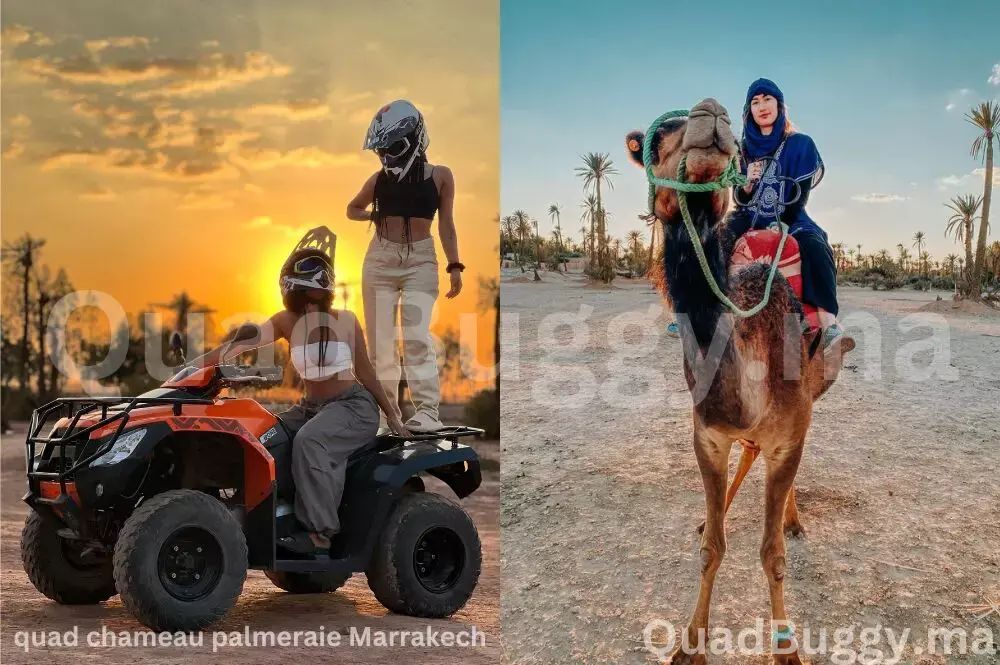Quad et Balade à Chameau dans la Palmeraie - 1/2 Journée